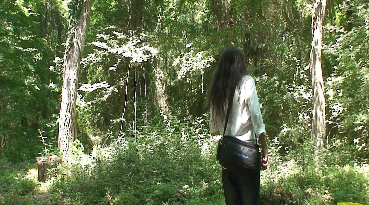 And In The Forest You Can Get Lost VIDEO Blog A Review Of The