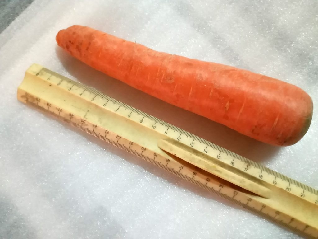 Carrot Fuck